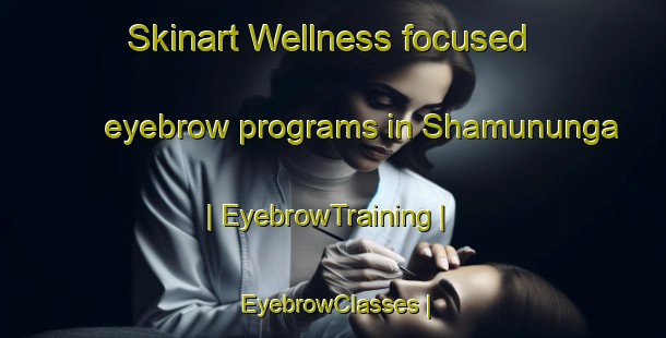 Skinart Wellness-focused eyebrow programs in Shamununga | EyebrowTraining | EyebrowClasses | SkinartTraining-the Democratic Republic of the Congo
